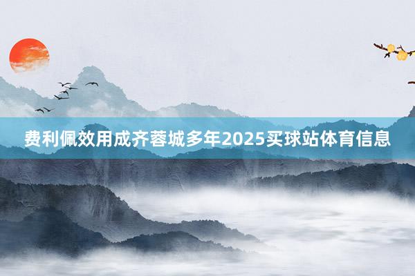 费利佩效用成齐蓉城多年2025买球站体育信息
