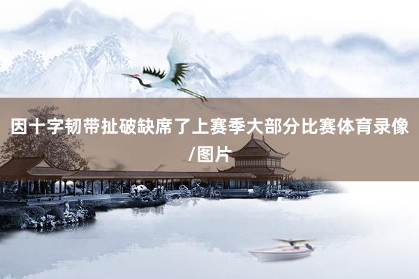 因十字韧带扯破缺席了上赛季大部分比赛体育录像/图片