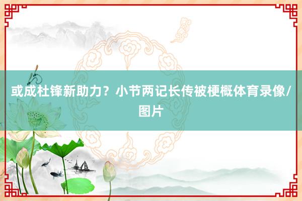 或成杜锋新助力？小节两记长传被梗概体育录像/图片