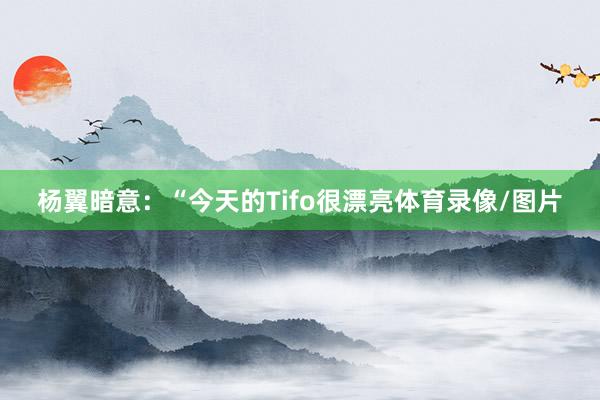 杨翼暗意：“今天的Tifo很漂亮体育录像/图片
